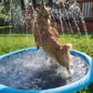 Hundsome Plask™ - Hunde Svømmebasseng