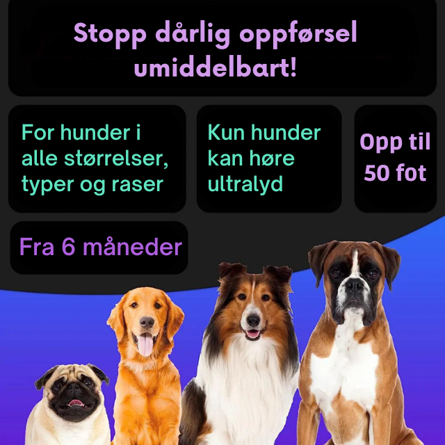 Anti-Bjeff Ultralyd Hundetrener