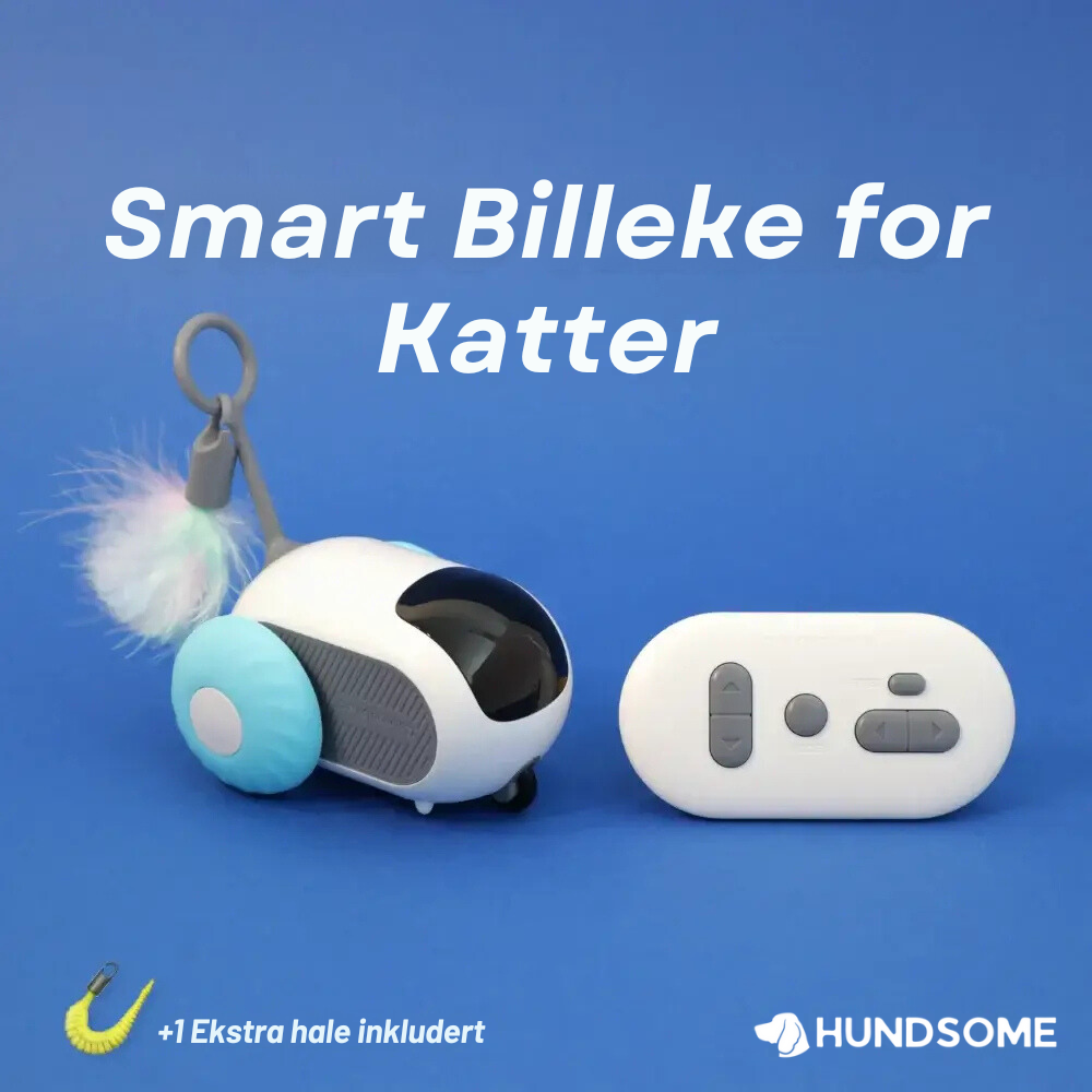 Smart Billeke for Katter