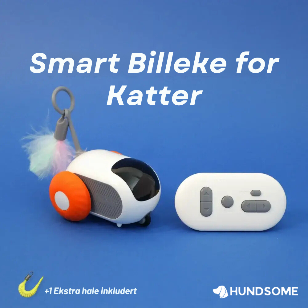 Smart Billeke for Katter